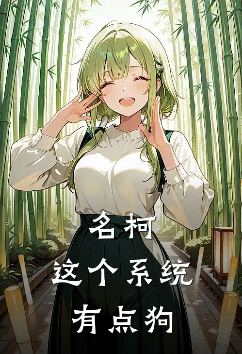 名柯，这个系统有点狗