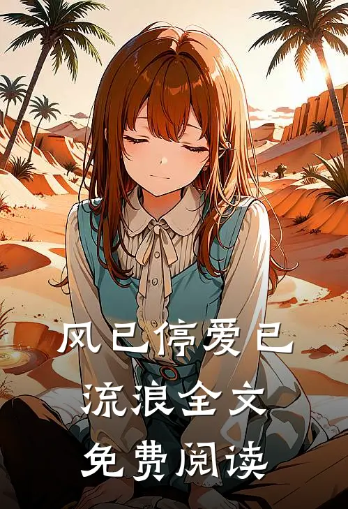 风已停爱已流浪全文免费阅读