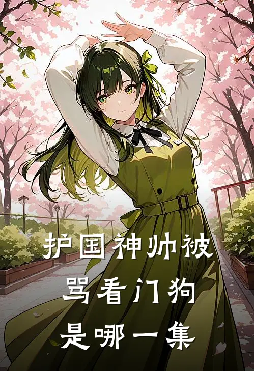 护国神帅被骂看门狗是哪一集